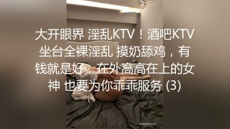 大开眼界 淫乱KTV！酒吧KTV坐台全裸淫乱 摸奶舔鸡，有钱就是好，在外高高在上的女神 也要为你乖乖服务 (3)