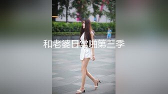 和老婆日常啪第三季