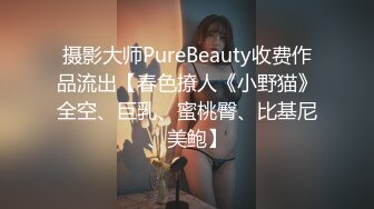 摄影大师PureBeauty收费作品流出【春色撩人《小野猫》全空、巨乳、蜜桃臀、比基尼、美鲍】