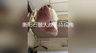 衡阳石鼓大叔手持视角