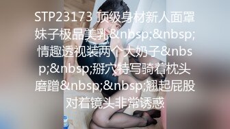 STP23173 顶级身材新人面罩妹子极品美乳&nbsp;&nbsp;情趣透视装两个大奶子&nbsp;&nbsp;掰穴特写骑着枕头磨蹭&nbsp;&nbsp;翘起屁股对着镜头非常诱惑