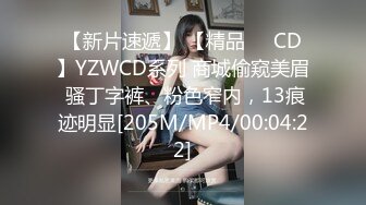 【新片速遞】 【精品❤️CD】YZWCD系列 商城偷窥美眉 骚丁字裤、粉色窄内，13痕迹明显[205M/MP4/00:04:22]