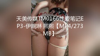 天美传媒TM0166性爱笔记EP3-伊婉琳 熙熙【MP4/273MB】