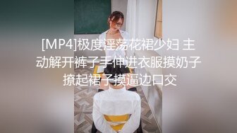 [MP4]极度淫荡花裙少妇 主动解开裤子手伸进衣服摸奶子 撩起裙子摸逼边口交