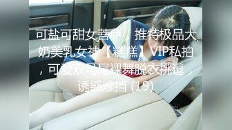 可盐可甜女菩萨，推特极品大奶美乳女神【糕糕】VIP私拍，可爱双马尾裸舞脱衣挑逗，诱惑难挡 (19)