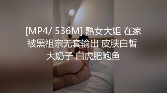 [MP4/ 536M] 熟女大姐 在家被黑祖宗无套输出 皮肤白皙 大奶子 白虎肥鲍鱼