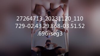 27264713_20231120_110729-02.43.29.868-03.51.52.696-seg3