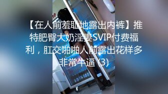 【在人前羞耻地露出内裤】推特肥臀大奶淫妻SVIP付费福利，肛交啪啪人前露出花样多非常牛逼 (3)