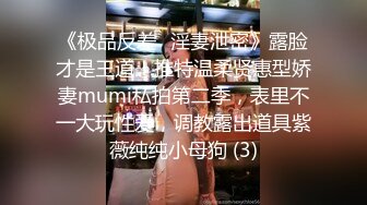 《极品反差✅淫妻泄密》露脸才是王道！推特温柔贤惠型娇妻mumi私拍第二季，表里不一大玩性爱，调教露出道具紫薇纯纯小母狗 (3)