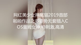 网红美少女押尾猫2019首部啪啪作品之多姿势无套插入COS蕾姆女神,特刺激,高清