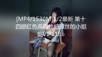 [MP4/1530M]1/2最新 第十四部红色高跟性感黑丝的小姐姐VIP1196