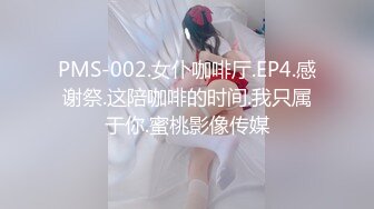 PMS-002.女仆咖啡厅.EP4.感谢祭.这陪咖啡的时间.我只属于你.蜜桃影像传媒