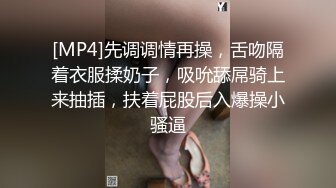 [MP4]先调调情再操，舌吻隔着衣服揉奶子，吸吮舔屌骑上来抽插，扶着屁股后入爆操小骚逼