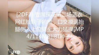 [2DF2] 壹屌探花第二场蓝衣网红脸妹子啪啪，口交摸逼抬腿侧入上位骑坐大力猛操[MP4/114MB][BT种子]