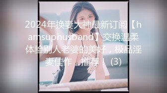 2024年换妻大神最新订阅【hamsuphusband】交换温柔体验别人老婆的美好，极品淫妻佳作，推荐！ (3)